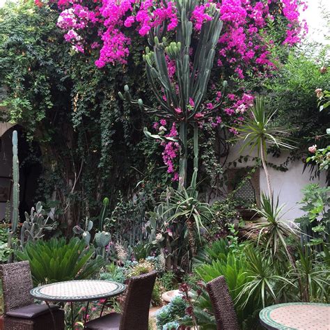 LE RIAD MEKNES - Guesthouse Reviews, Photos, Rate Comparison - Tripadvisor