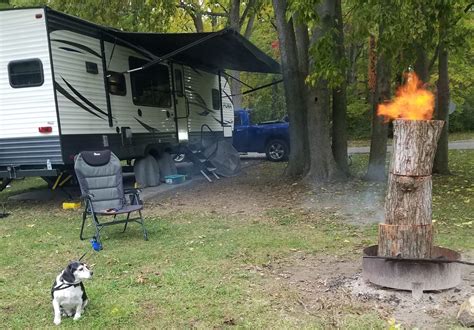 Image result for Long Log Fire