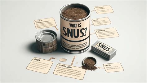 What Is Snus? – Snus Town