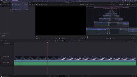 Davinci Resolve hotkeys bug - Portuguese - Garuda Linux Forum