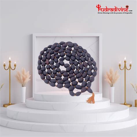 RUDRADIVINE Men's Wood Kamal Gatta Mala with 108 Lotus Seeds (Black ...