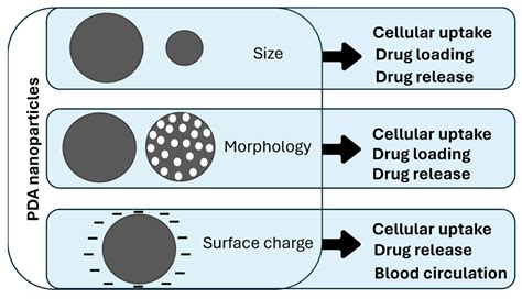 Polydopamine Nanosystems in Drug Delivery: Effect of Size, Morphology ...