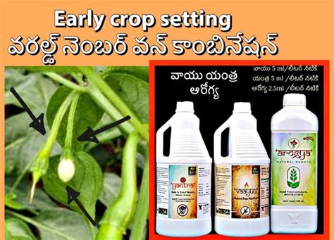 YK Laboratories Pest Special + Flower Setting & Healthy Growth - Vaayu ...