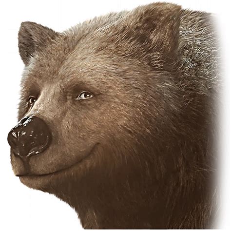 File:Sticker Still Frames Halsin.webp - bg3.wiki