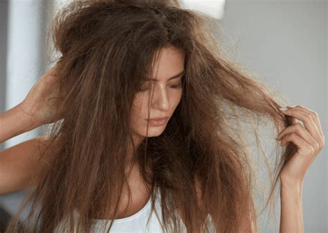 How to Repair Damaged Hair: Tips and Effective At-Home Treatments – The ...