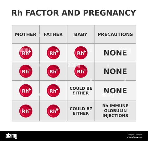Rh factor and pregnancy. Rhesus factor incompatibility when mother is ...