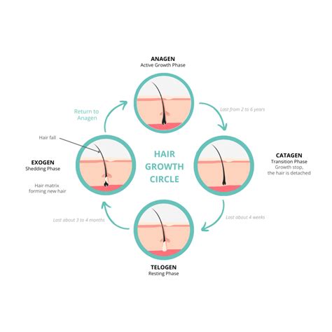 Blog | From Roots to Revitalisation: Exploring Hair Loss