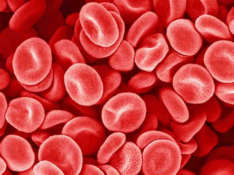 What Causes a High Platelet Count?