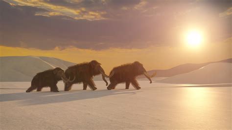 Woolly mammoth de-extinction inches closer after…