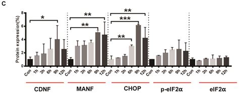 Cerebral Dopamine Neurotrophic Factor (CDNF) Has Neuroprotective ...