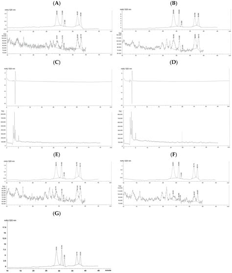 Effect of Popping and Steam Cooking on Total Ferulic Acid, Phenolic and ...