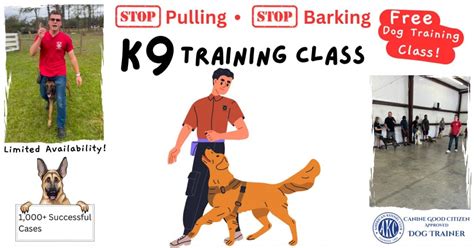 Clearwater Events | Upcoming Events & Things To Do In Clearwater, FL ...