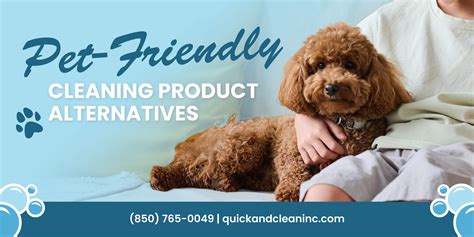 Pet Friendly Cleaning Product Alternatives | Quick & Clean, Inc.