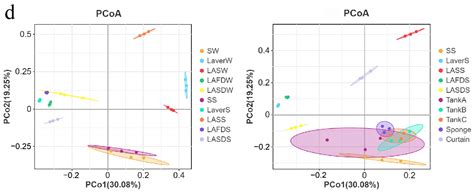 Microbial Level and Microbiota Change of Laver in Dried Laver ...