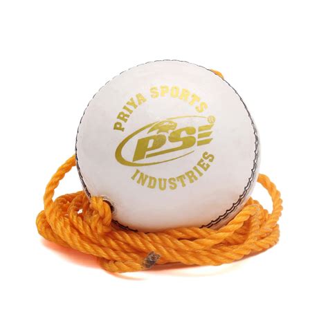 PSE Priya Sports Leather Club Practice Hanging Cricket Ball White Pack ...