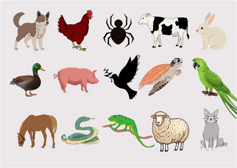 Animales domésticos: qué son, ejemplos y características - Enciclopedia ...