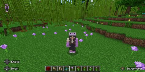 Minecraft: How To Find All Flowers