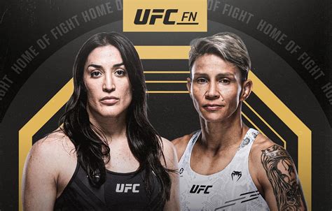 UFC Fight Night 259: Suarez vs Lemos - Datum, Startzeit, Fight Card ...