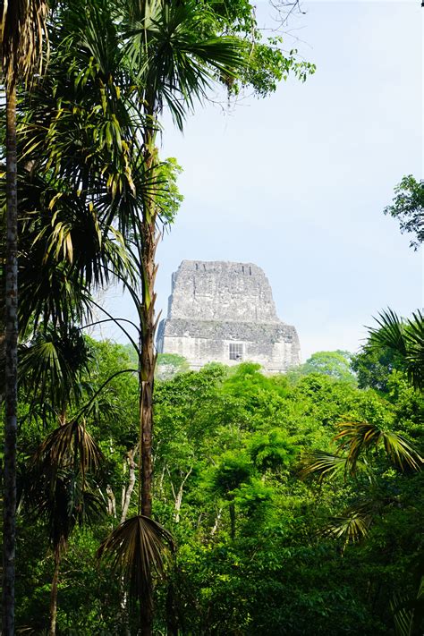 The Ultimate Tikal Guide: Unlocking Tikal National Park In Guatemala