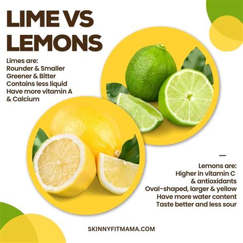 Lime Water Vs Lemon Water: Which Is Better? - Skinny Fit Mama