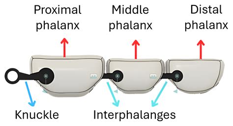 Hand Prosthesis with Soft Robotics Technology and Artificial ...