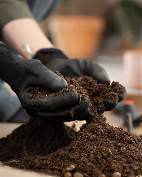Soil Testing Lab and Tissue Culture Lab - Tirupati Nursery
