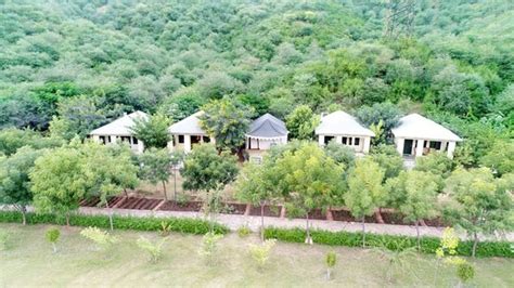 CT RESORTS JUNGLE CAMP (Alwar District) - Resort Reviews & Photos ...