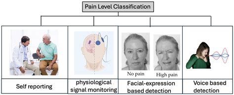 Voice-Based Pain Level Classification for Sensor-Assisted Intelligent Care