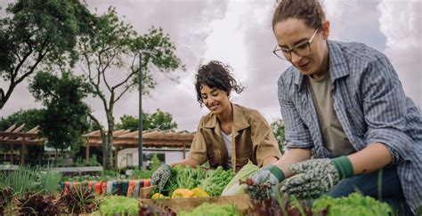 Local Community Services 的图像结果