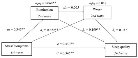 The Role of Rumination and Worry in the Bidirectional Relationship ...