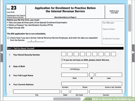 IRS Gets Big Win In Multimillion-Dollar PTIN Fees Case - India Dictionary