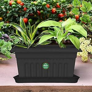 TrustBasket UV Treated Rectangular Bottom Tray(Plate/Saucer) Suitable ...