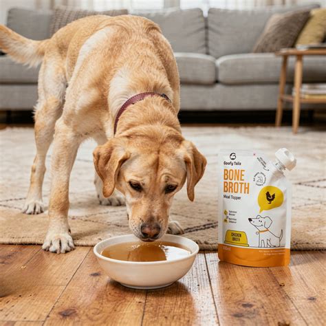 Goofy Tails Chicken Bone Broth for Dogs and Puppies - 100ml – GoofyTails