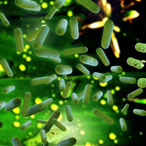 Biomethanation 的图像结果