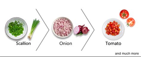 Buy Rico Mini Electric Rechargeable Chopper for Kitchen | 1200 mAh ...