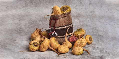 Maca Root: A Natural & Safe Superfood Supplement for Performance ...