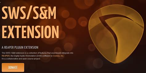 Image result for SWS Extension Auto Color