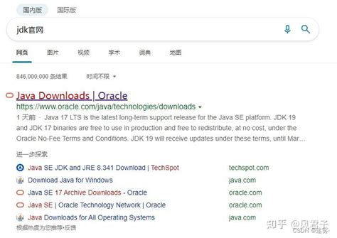 Java JDK 1.6 Download 的图像结果