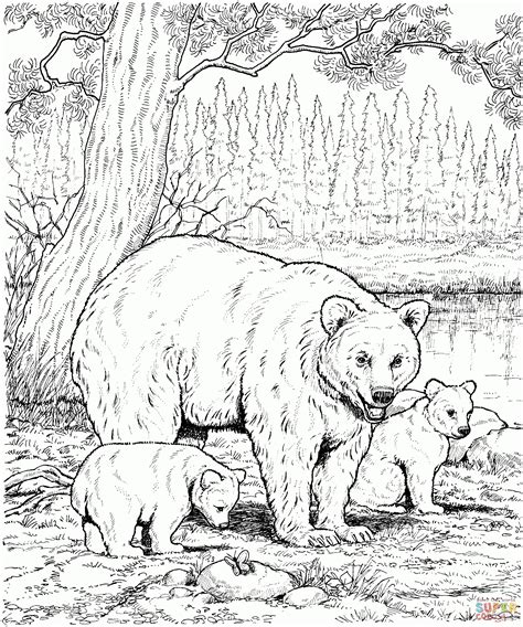 Realistic Animal Coloring Pages Adults Coloring Pages