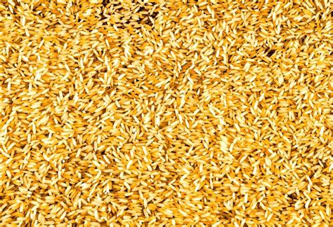 Java Rice Yellow Texture Image 的图像结果