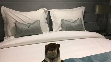 THE SALLY (Irthington) - Guesthouse Reviews, Photos, Rate Comparison ...