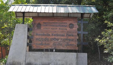 10 Must Visit Tourist Attractions in Sigiriya - lifeberrys.com