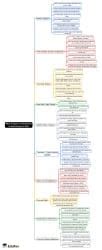 What Is Space Introduction to Astronomy for Kids Mind Map - Class 4 PDF