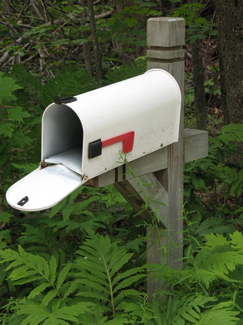 ants nest getting rid of | The Old Farmer's Almanac