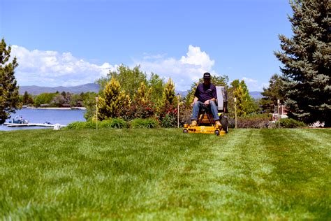 Image result for Walker Model MT