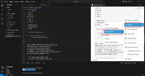 Print PDF from VSCode 的图像结果