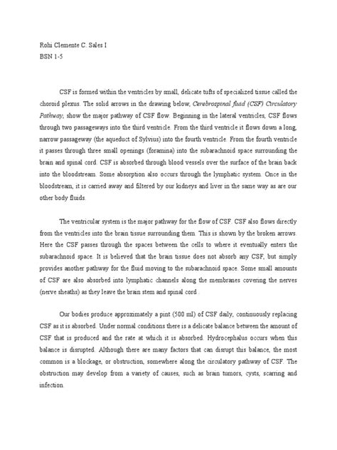 CSF Flow Pathway 的图像结果