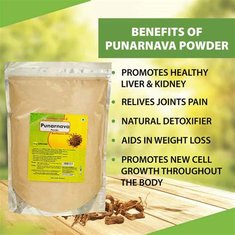 Buy HERBAL HILLS PUNARNAVA POWDER - BOERHAVIA DIFFUSA - PUNARNAVA ROOT ...