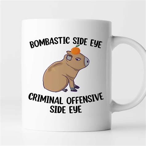 Buy VIGAT Criminal Offensive Side Eye Capybara Coffee Mug, Funny ...