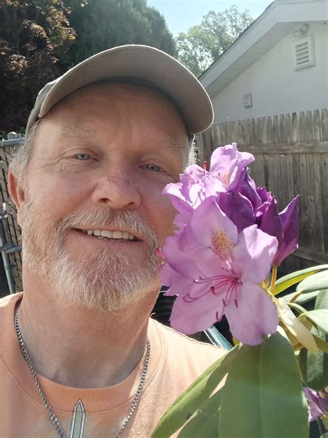 How to Properly Water Air Plants 的图像结果